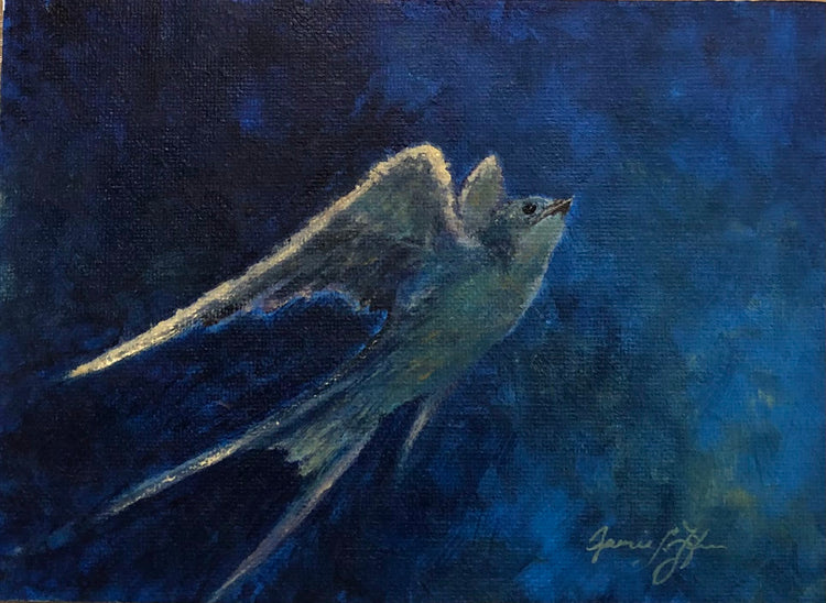Jamie Fifer Gallery