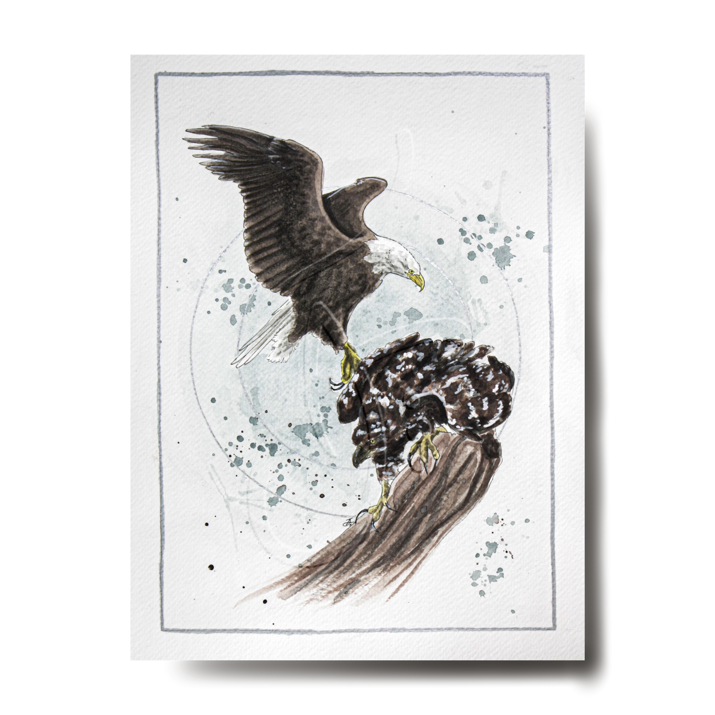"Bald Eagle" Print