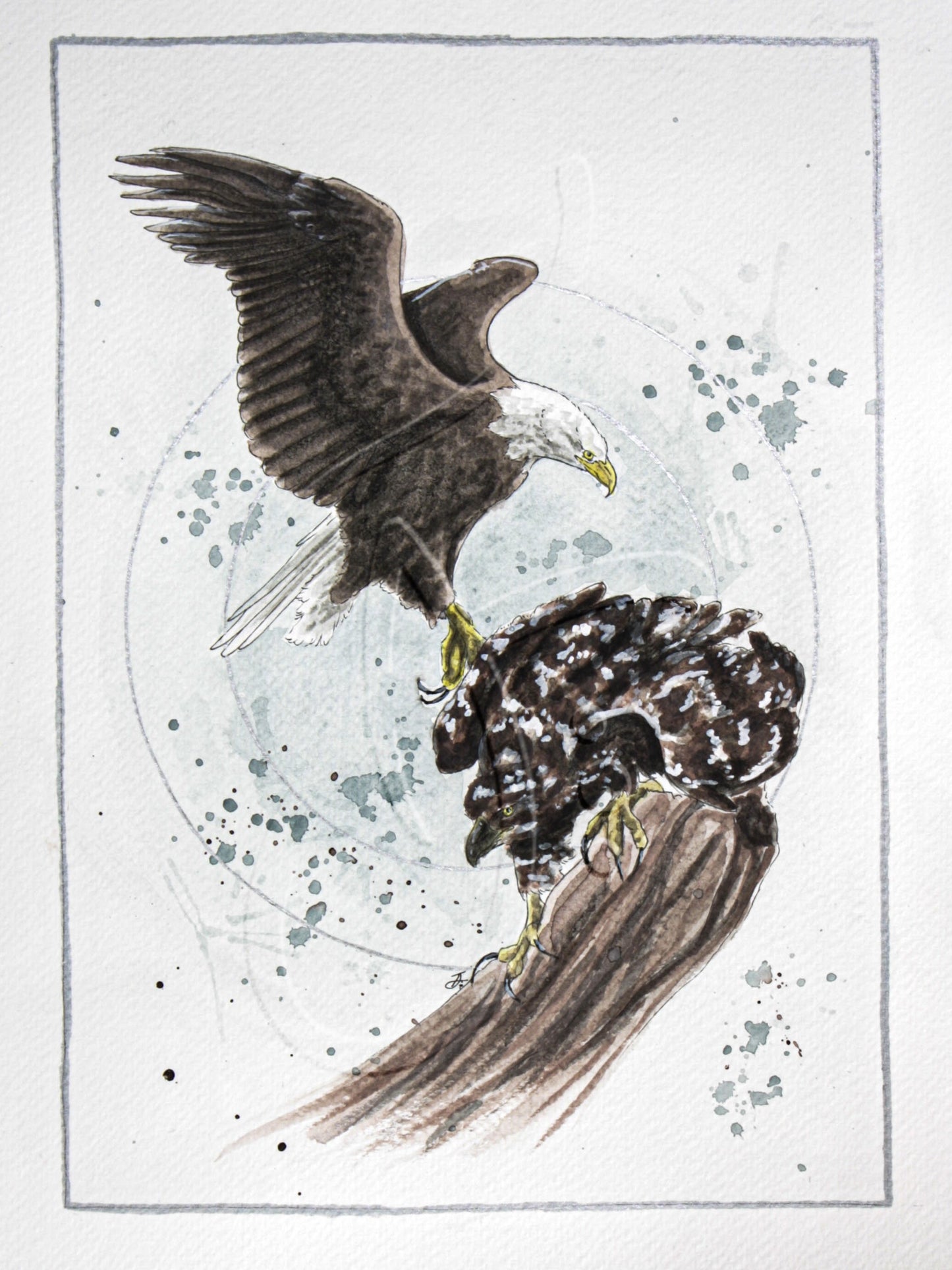 "Bald Eagle" Print