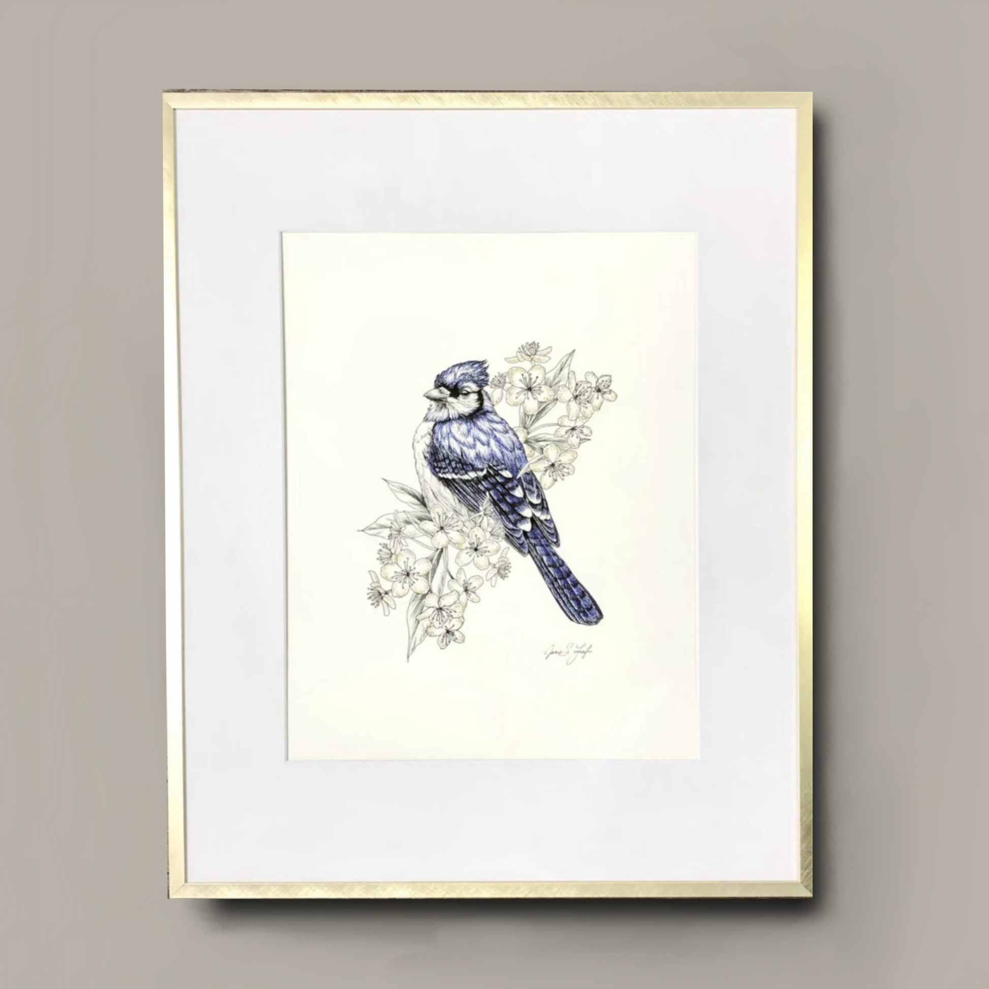 VIP Original Blue Jay by Jamie Fifer