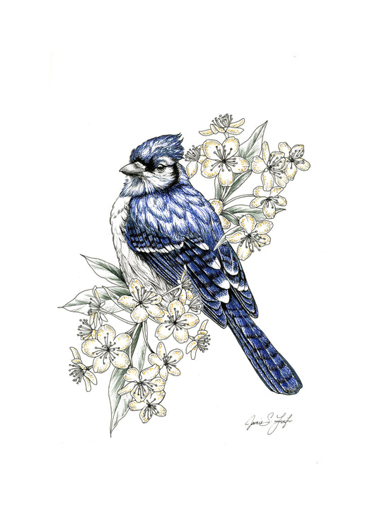 Blue Jay + Blossoms  **VIP**