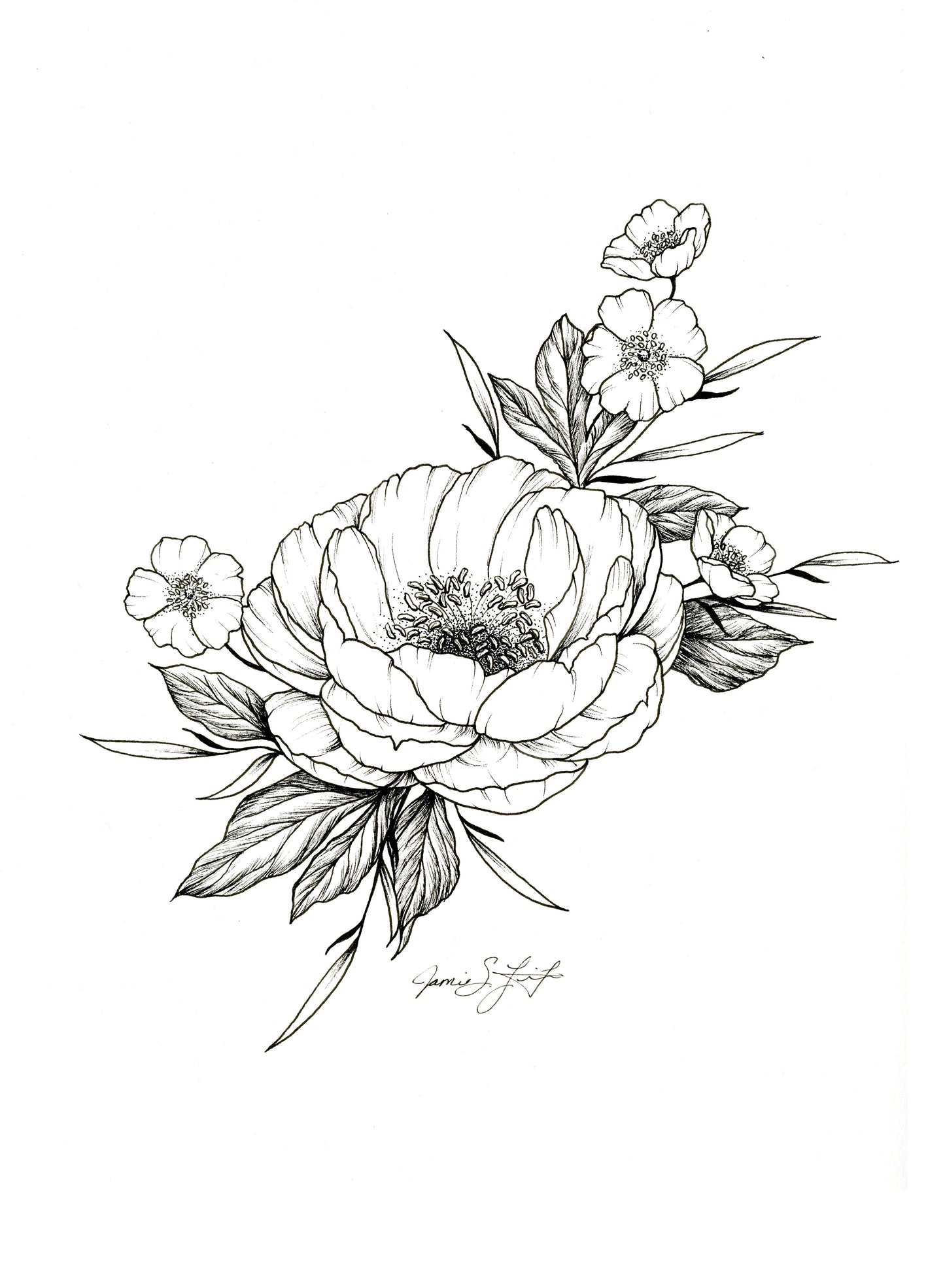 VIP Original Peony by Jamie Fifer