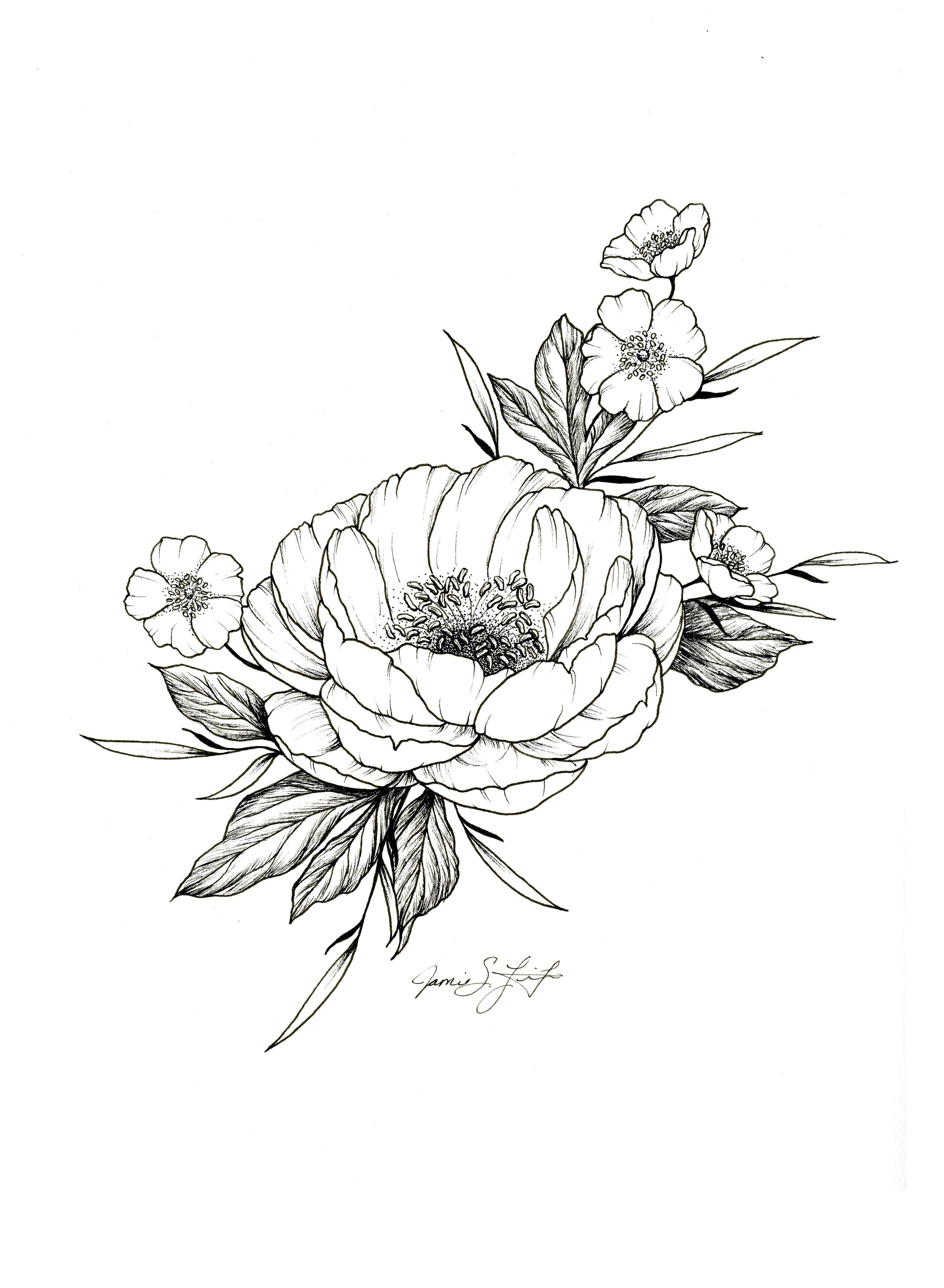 VIP Original Peony by Jamie Fifer
